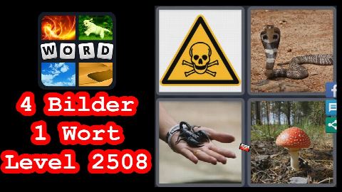 4 Bilder 1 Wort - Level 2508 - Schlange, Skorpion, Fliegenpilz, Warnschild - Lösung