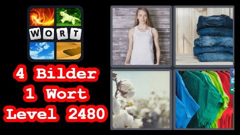 4 Bilder 1 Wort - Level 2480 - Frau, Jeans, Hosen, T-Shirts - Lösung