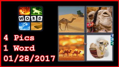 4 Pics 1 Word - 01/28/2017 - Daily Puzzle - Egypt 2017 - 1/28/2017 - January 28, 2017 - Answer