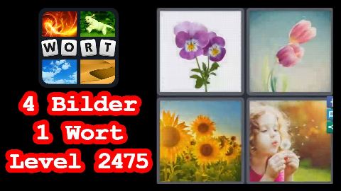 4 Bilder 1 Wort - Level 2475 - Sonneblume, Kind, pusten - Lösung