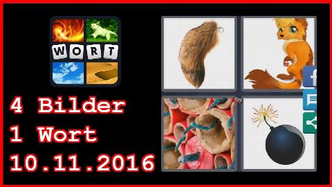 4 Bilder 1 Wort - Tägliches Rätsel - Australien 2016 - 10.11.2016 - 10.11.2016 - 10. November 2016