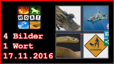 4 Bilder 1 Wort - Tägliches Rätsel - Australien 2016 - 17.11.2016 - 17.11.2016 - 17. November 2016