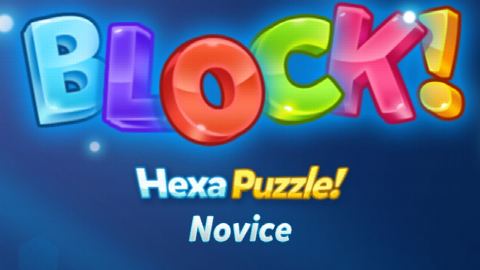 BLOCK! Hexa Puzzle – Novice