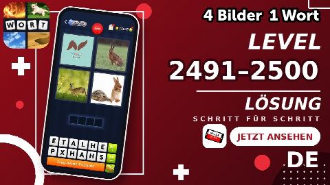 4 Bilder 1 Wort – Level 2491–2500 gelöst | Alle Lösungen (Update: 2026)