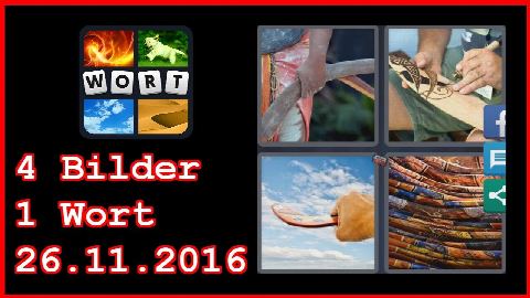 4 Bilder 1 Wort - Tägliches Rätsel - Australien 2016 - 26.11.2016 - 26.11.2016 - 26. November 2016
