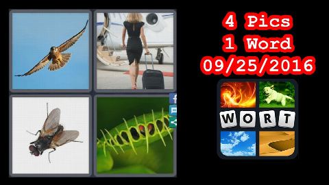 4 Pics 1 Word - Daily Puzzle - Italy - 09/25/2016 - 9/25/2016 - September 25, 2016 - Answer