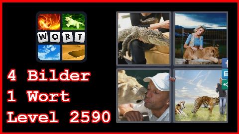 4 Bilder 1 Wort - Level 2590 - Krokodil Löwe, Tiger - Lösung