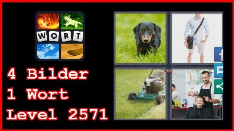 4 Bilder 1 Wort - Level 2571 - Hund, Mann, Rasenmäher, Frisur - Lösung
