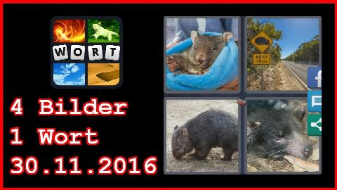 4 Bilder 1 Wort - Tägliches Rätsel - Australien 2016 - 30.11.2016 - 30.11.2016 - 30. November 2016