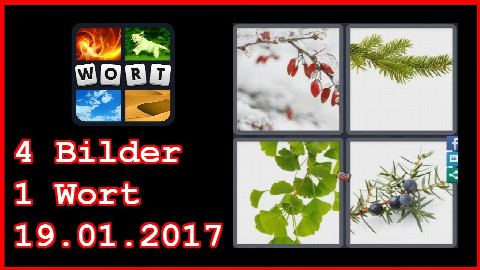 4 Bilder 1 Wort - 19.01.2017 - Ägypten 2017 - Tägliches Rätsel - 19.1.2017 - 19. Januar 2017 - L