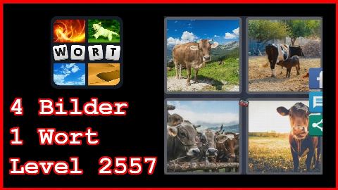 4 Bilder 1 Wort - Level 2557 - Kuh, Weide - Lösung